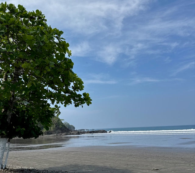 Create a Morning Ritual Inspired by Costa Rican Living: Start Your Day the Pura Livin Way