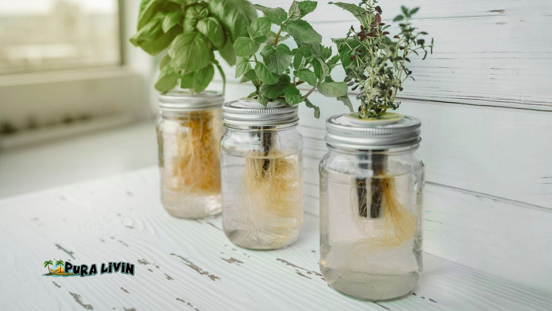 Resourceful Living the Pura Livin Way: Creative, Healthy, and Joyful