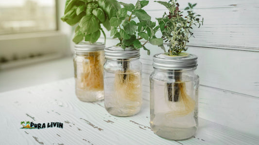 Resourceful Living the Pura Livin Way: Creative, Healthy, and Joyful