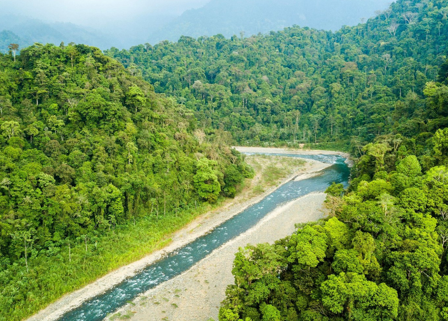 Savegre River Rafting Class II-III from Jaco