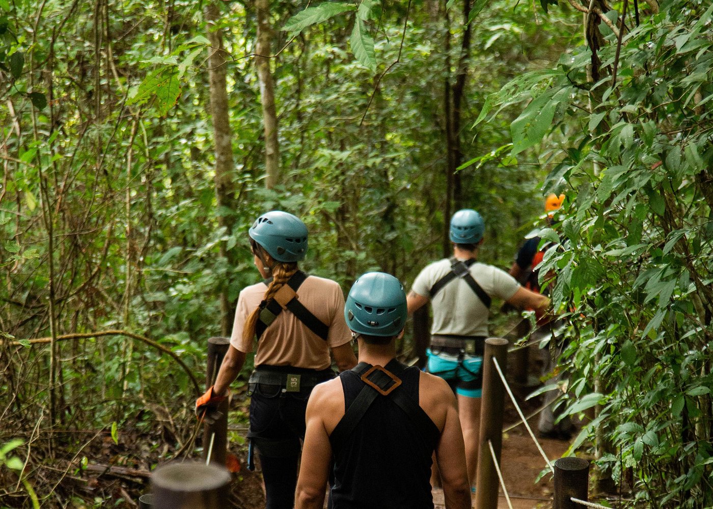 Aerial Tram and Zipline Tour Jacó Rainforest Adventures