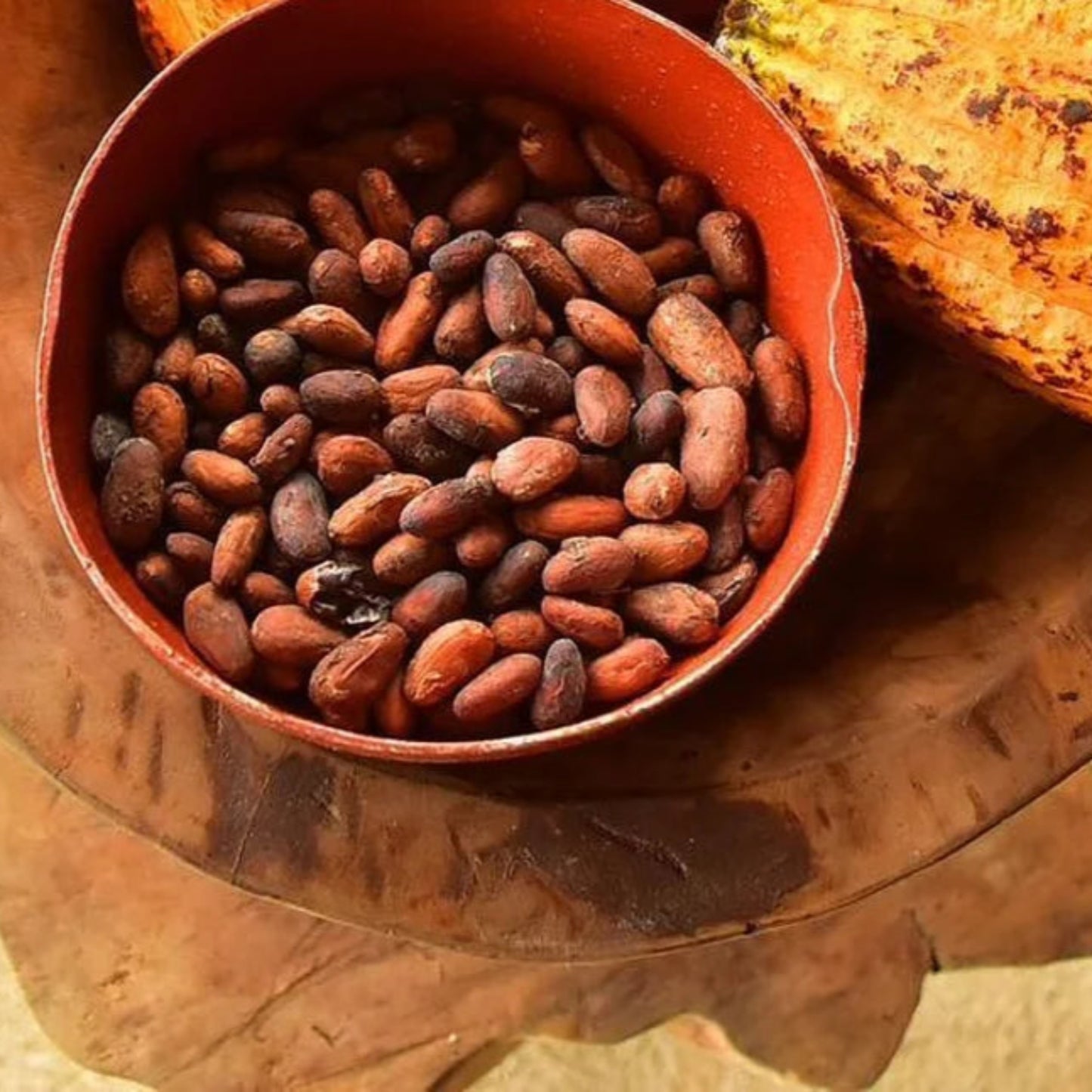La Mona Golosa Cocao (Chocolate) TOUR experience