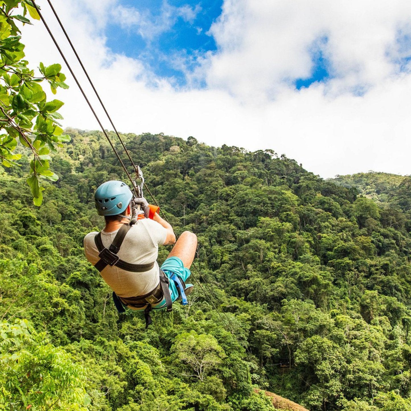 Aerial Tram and Zipline Tour Jacó Rainforest Adventures