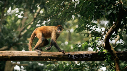 Traveling With Intention in the New Year: Choosing Meaning Over More