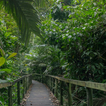 The "Pura Livin" Experience: Tropical Costa Rica: Rainforests, Volcanoes & Pura Vida - 9 Days of Guided Adventure