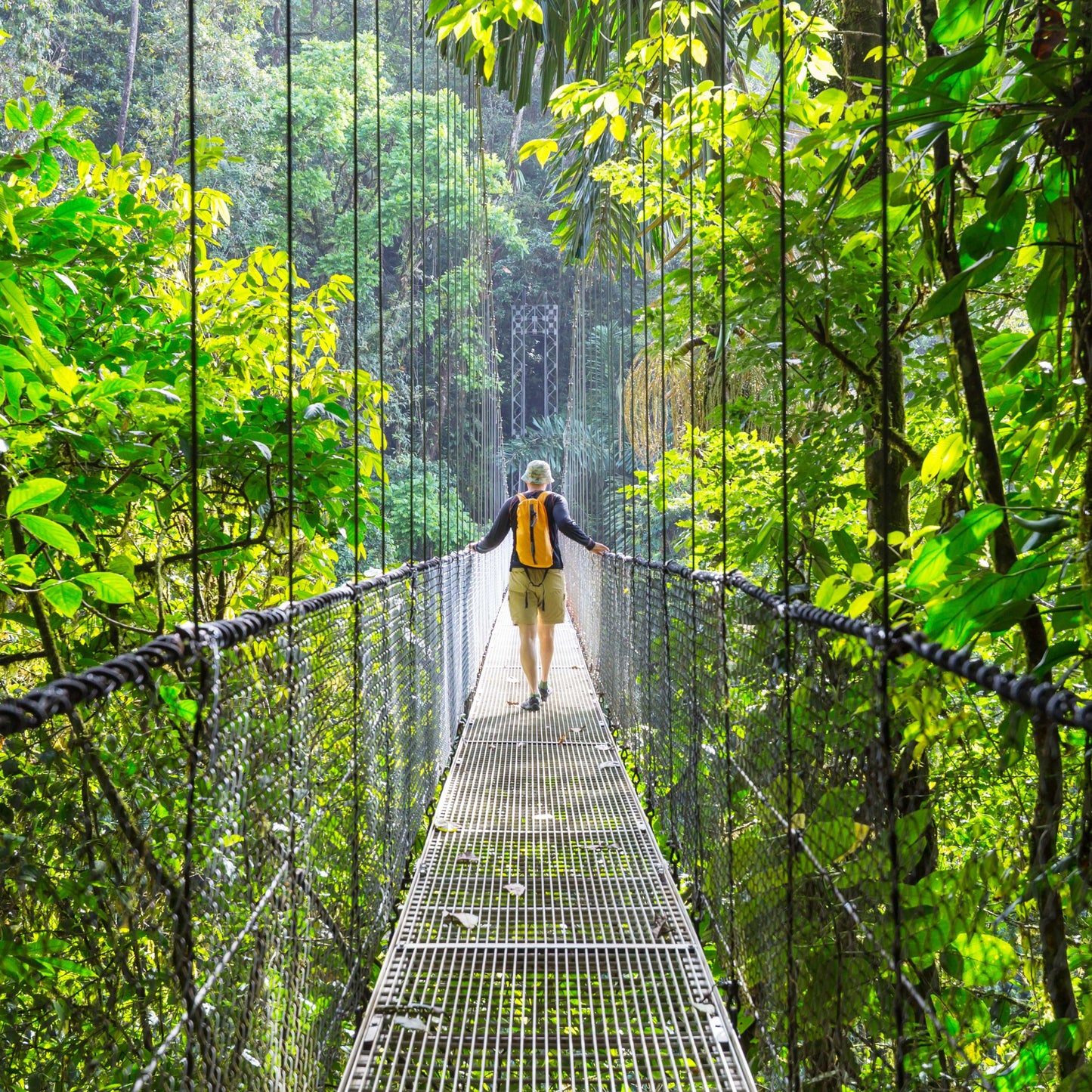 The "Pura Livin" Experience: Tropical Costa Rica: Rainforests, Volcanoes & Pura Vida - 9 Days of Guided Adventure