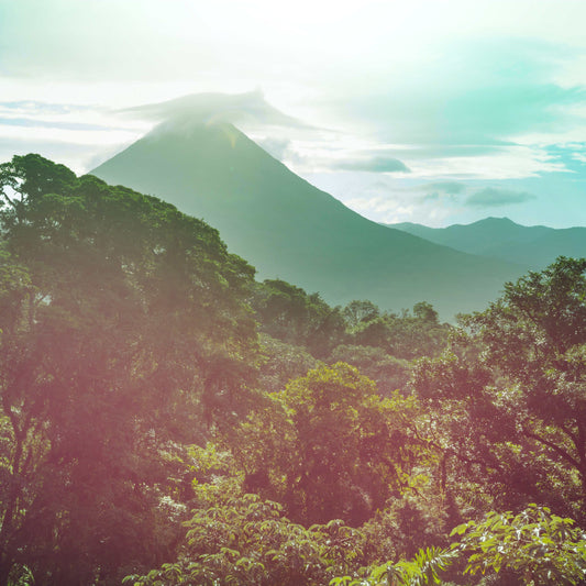 The "Pura Livin" Experience: Tropical Costa Rica: Rainforests, Volcanoes & Pura Vida - 9 Days of Guided Adventure