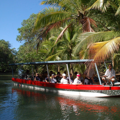 Damas Island Mangrove Boat Tour from Jaco