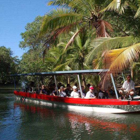 Damas Island Mangrove Boat Tour from Jaco