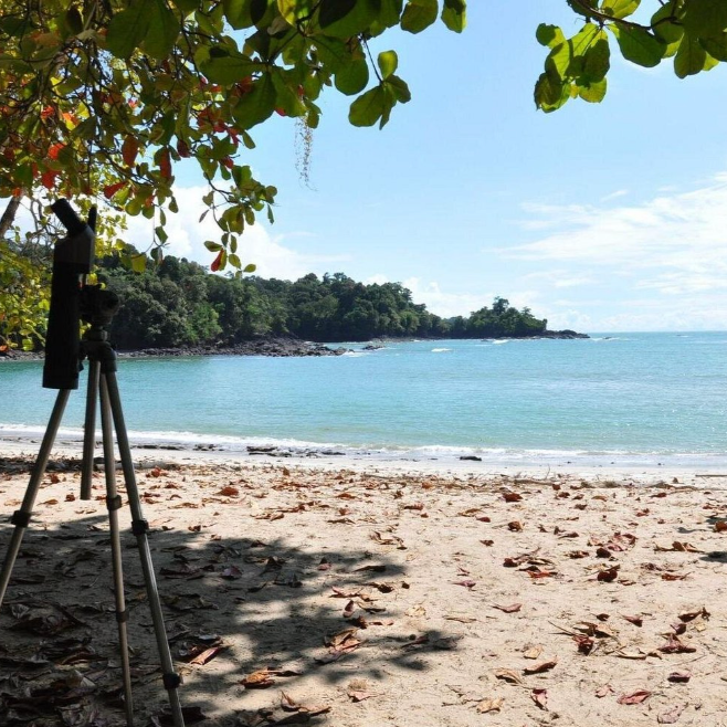 Manuel Antonio National Park Hiking Tour from Jacó