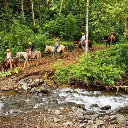 Full Day Pass Jaco Jungle Adventure Five in One with Lunch