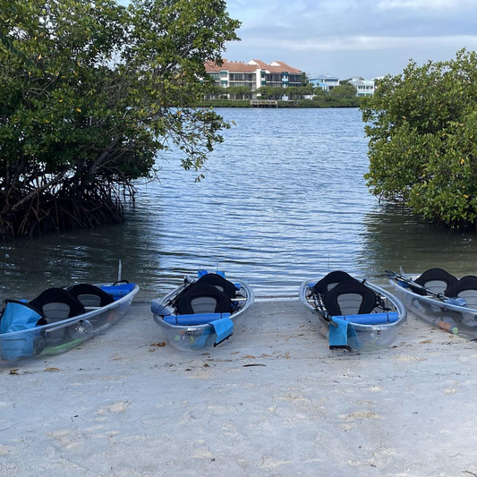 Clear Kayak Eco Tour in Jupiter, Florida