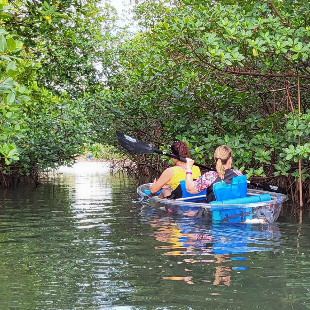 Clear Kayak Eco Tour in Jupiter, Florida