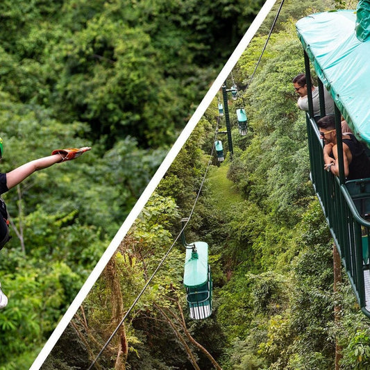 Aerial Tram and Zipline Tour Jacó Rainforest Adventures