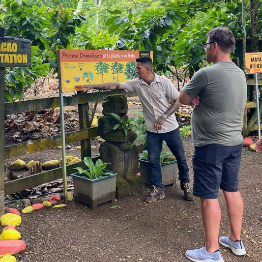 La Mona Golosa Cocao (Chocolate) TOUR experience