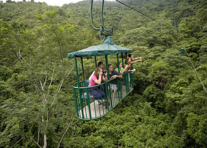 Aerial Tram and Zipline Tour Jacó Rainforest Adventures
